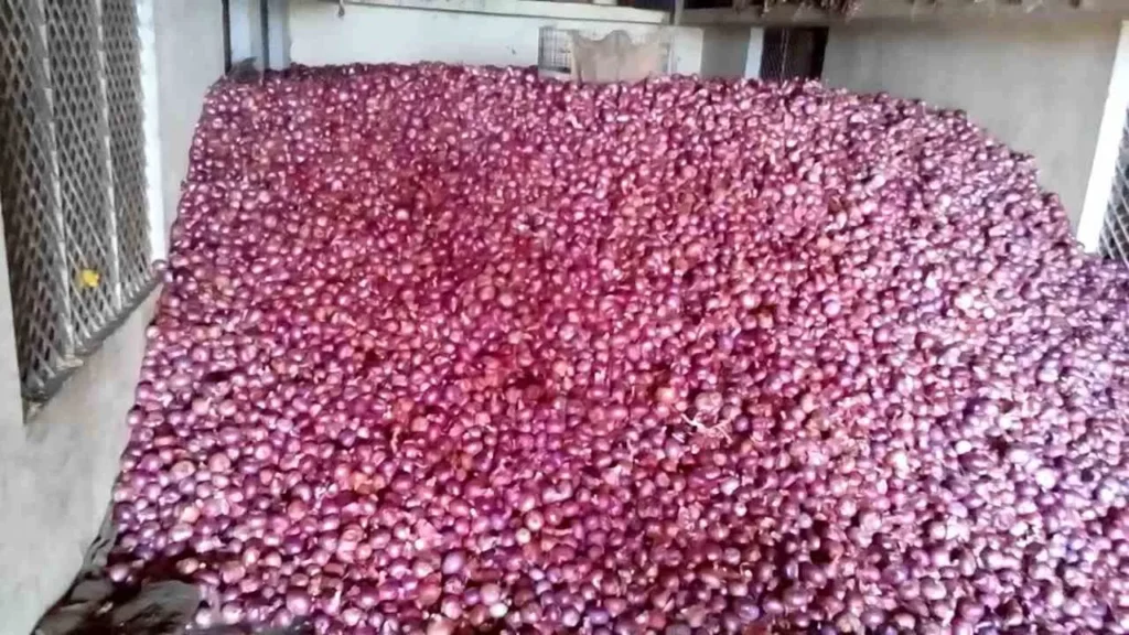 onion-warehouse-subsidy