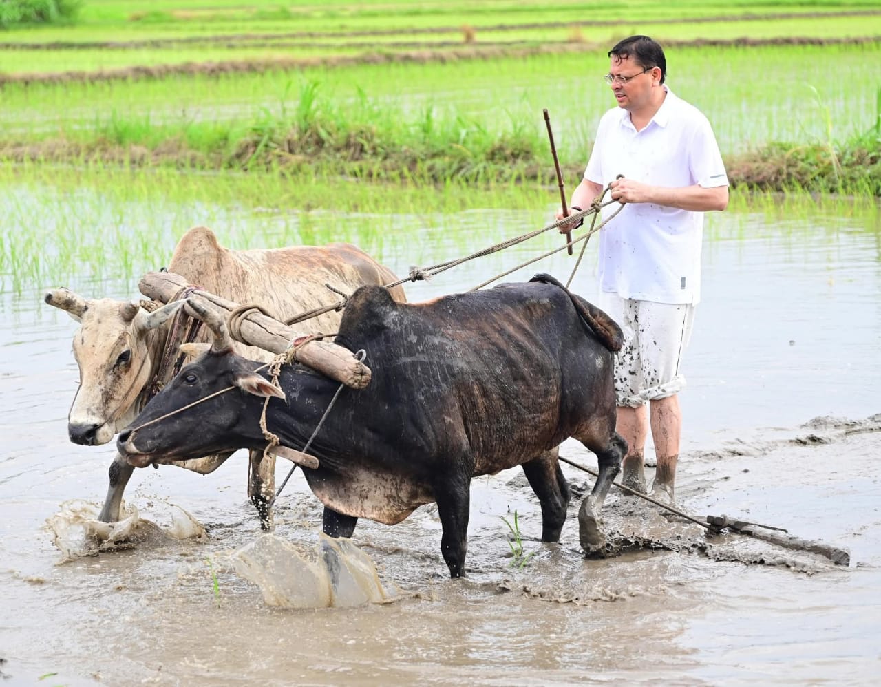 WhatsApp Image 2025-07-05 at 3.17.25 PM