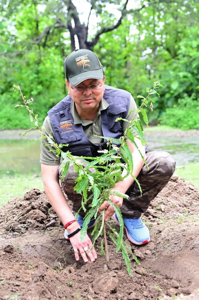 WhatsApp Image 2025-07-06 at 2.56.33 PM