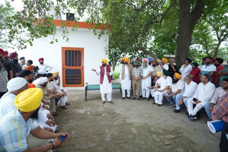 WhatsApp Image 2025-07-28 at 14.08.59