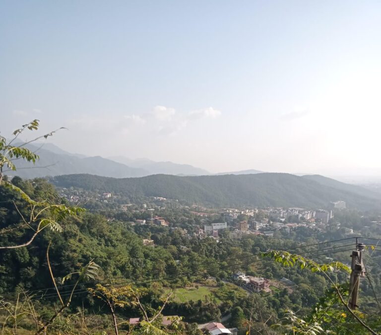 WhatsApp Image 2025-09-04 at 4.15.59 PM