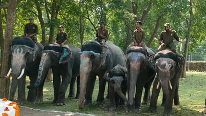 hathaya-para-haga-jagal-safara_e4f46083eadc0b431245fd65ca037ae1