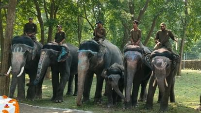 hathaya-para-haga-jagal-safara_e4f46083eadc0b431245fd65ca037ae1